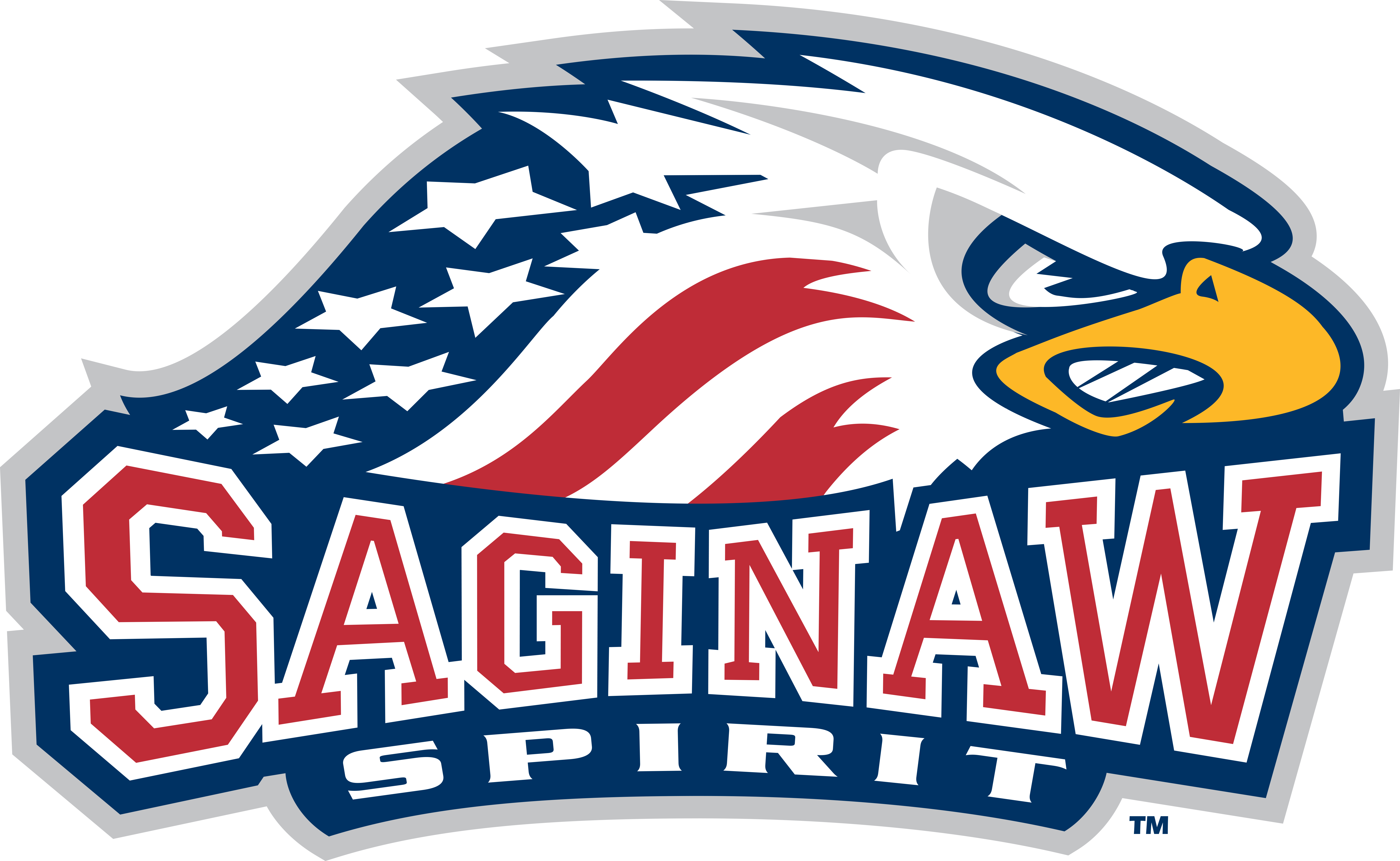 Saginaw Spirit vs. Erie Otters